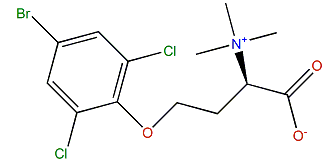 Purpuroine C